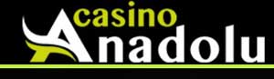 download casino
